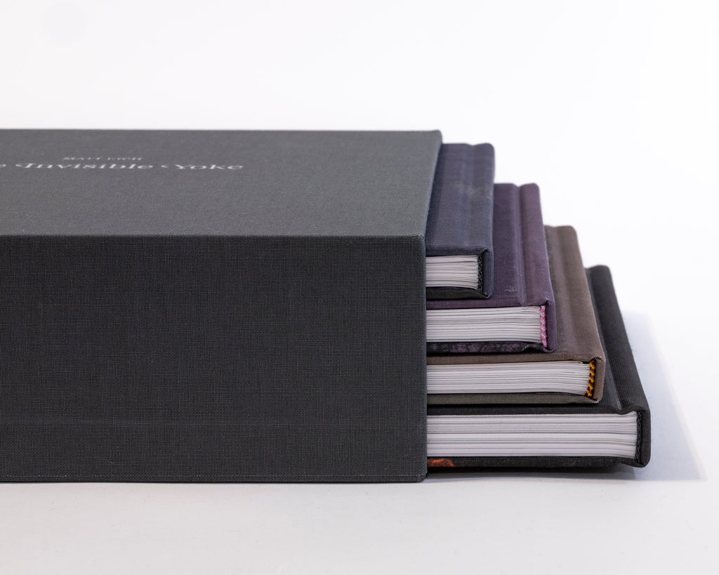 MATT EICH - THE INVISIBLE YOKE (Box Set)