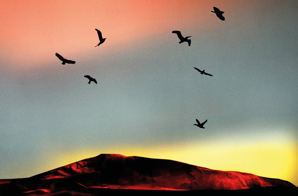 【洋書】LUIS SANCHIS Luis_Sanchis_Claudia_Rafael4_g