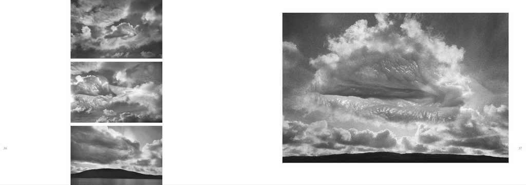 RENE GROEBLI - DIE MUSCHEL