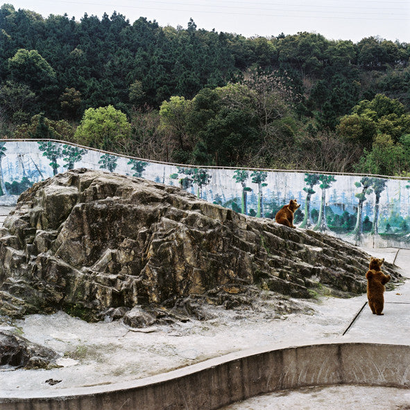 XIAOXIAO XU - THE WAY TO THE GOLDEN MOUNTAIN